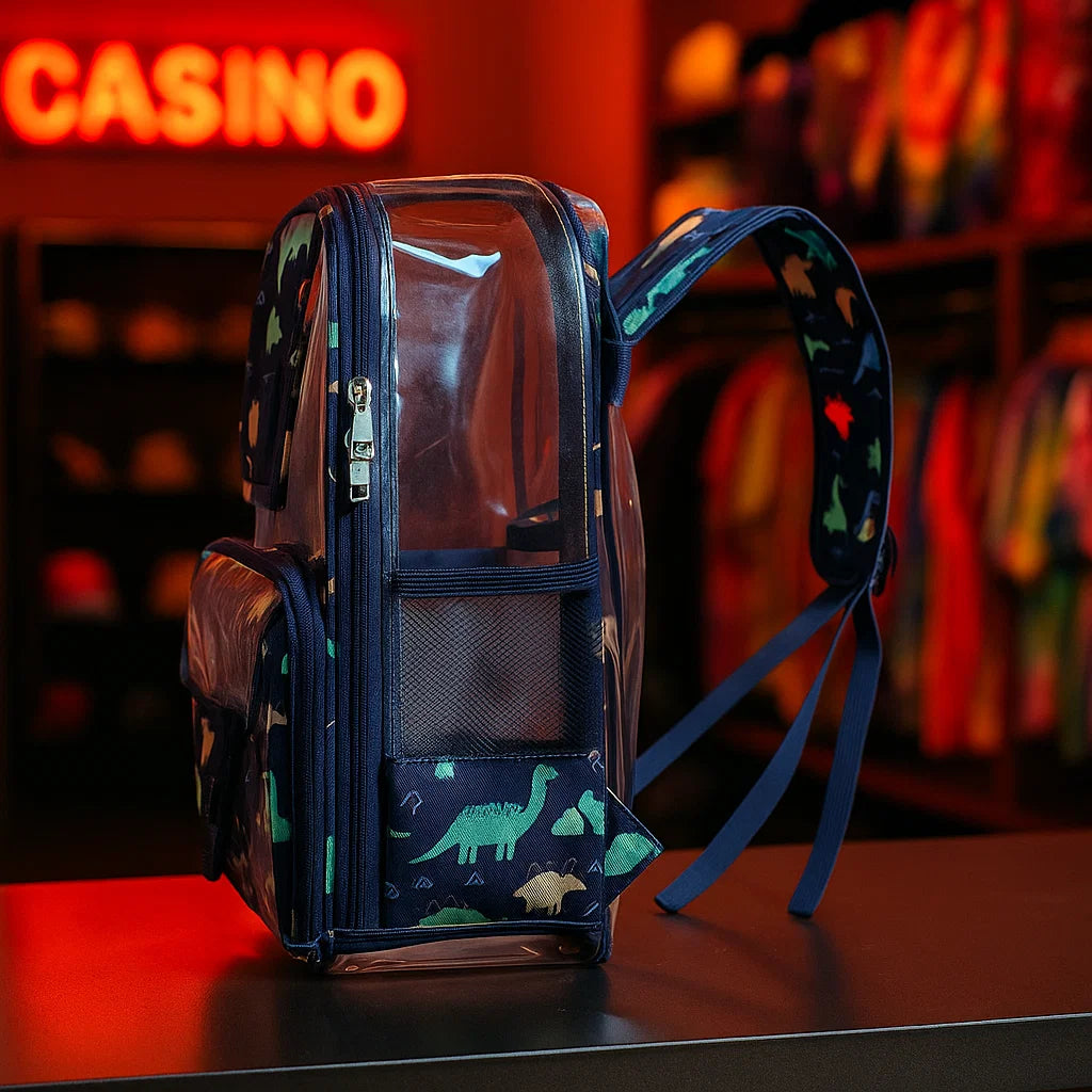 Transparent Backpack