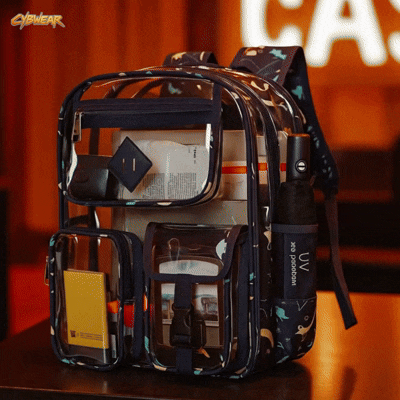 Transparent Backpack